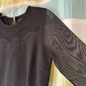 Styled by Joe Zee Sheer Black Long Sleeve Blouse Sz 6